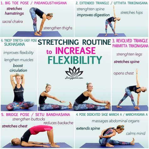 These stretches will help you increase your flexibility and improve ... - balustradellc
