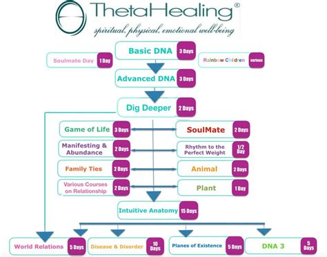 THETA Courses – Yanaah