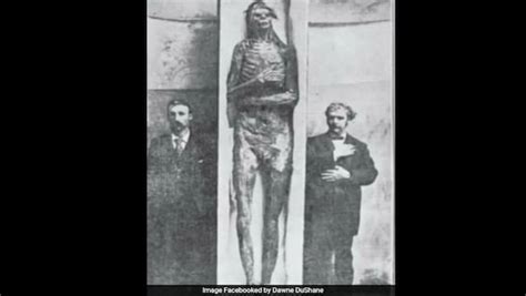 They Found A Biblical Nephilim Giants In Mexican Cave ... - balustradellc