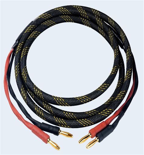 They say speaker cables do not matter - Audio Science … - balustradellc