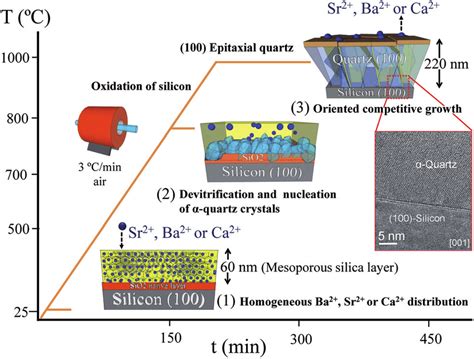 Thin Film Polycrystalline Silicon as a Pixel Electrode for Organic ... - wintechmobiles.com