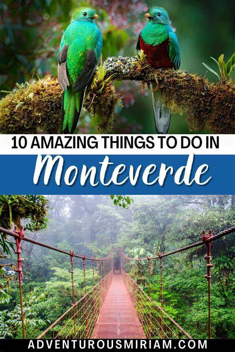 Things to do in the Monteverde Cloud Forest - Culture Trekking - raincitystudios.com