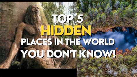 This captivating video explores the hidden yet impactful world of night ... - balustradellc