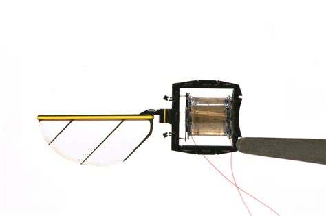 This fast and agile robotic insect could someday aid in mechanical ... - balustradellc