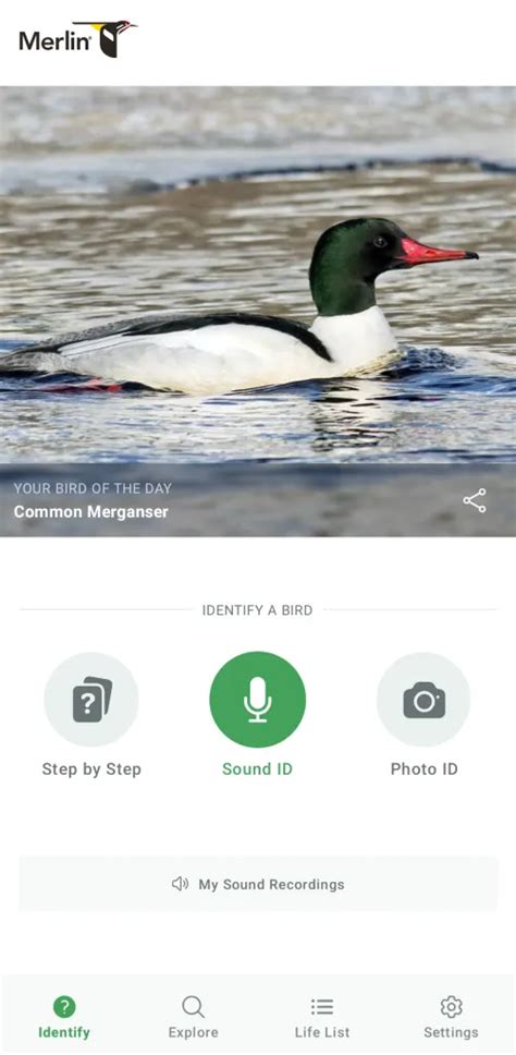 This free app is like Shazam for bird calls - Fast Company - balustradellc