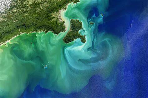This is how climate change is impacting the ocean - raincitystudios.com