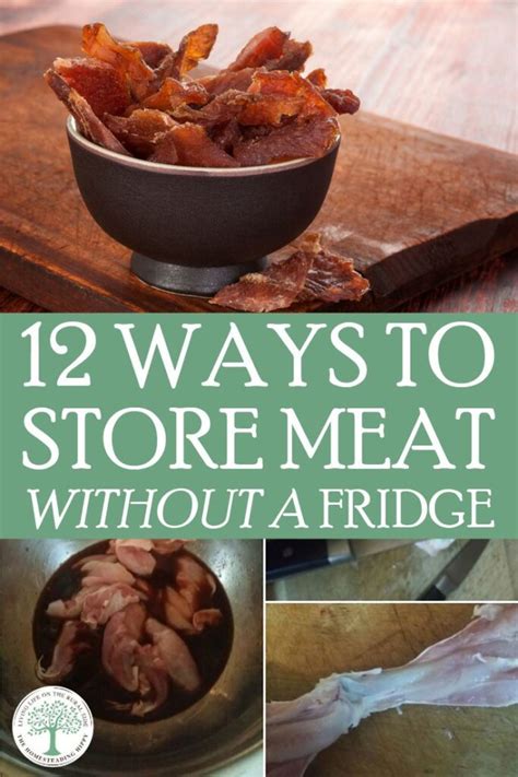THIS is How to STORE MEAT without Refrigeration | Food Preservation ... - balustradellc