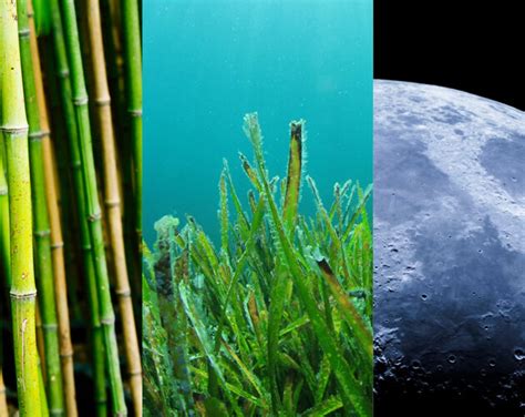 This new class of materials could transform aircraft design - wintechmobiles.com