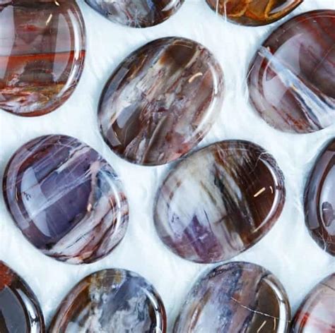 This petrified wood has some really pretty color! These ... - muktibox.com