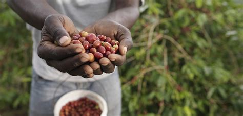 This social enterprise is improving the lives of female farmers in ... - raincitystudios.com