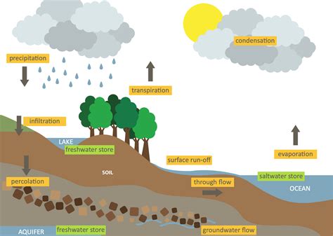 This video features the Hydrology, Water and Soil ... - balustradellc
