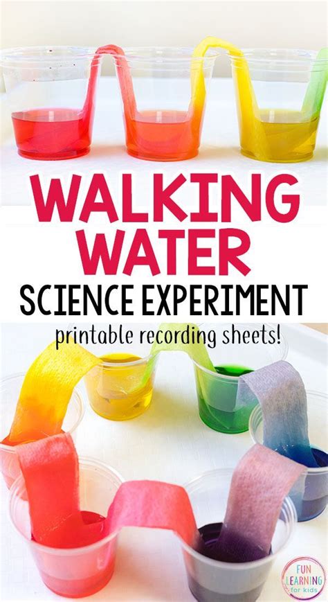 This walking water science experiment is a fun and easy way to … - balustradellc