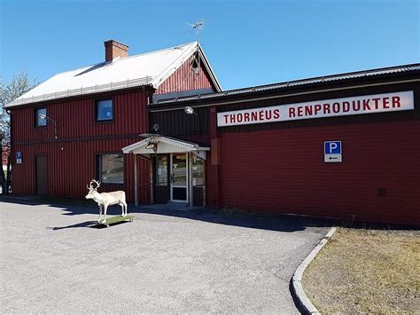 THORNEUS RENPRODUKTER (Kiruna): Ce qu