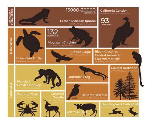 Threatened, Endangered and Species of Concern - raincitystudios.com