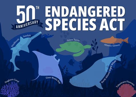 Threatened species - Environment and Heritage - raincitystudios.com