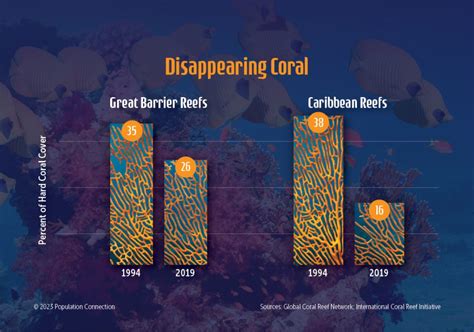 Threats and Impacts of Coral Reef loss and destruction - wintechmobiles.com