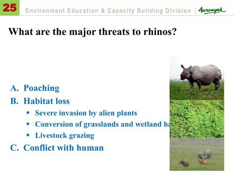 Threats to Rhinos • Wildlife Conservation Network - muktibox.com