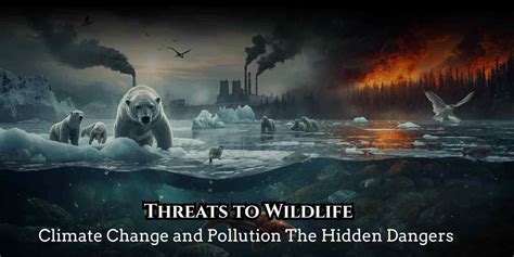 Threats to Wildlife - National Wildlife Federation - raincitystudios.com