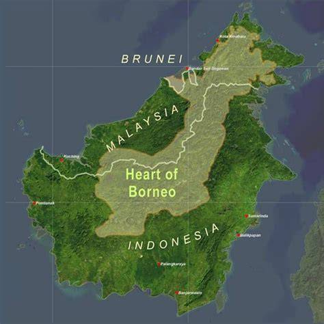 Three Nations Agree to Conserve Biodiverse Heart of Borneo - raincitystudios.com