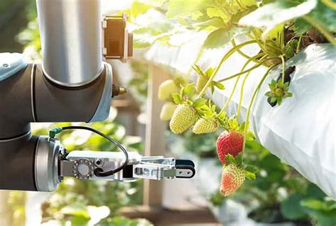 Three ways to invest in vertical farming - Savills UK - balustradellc