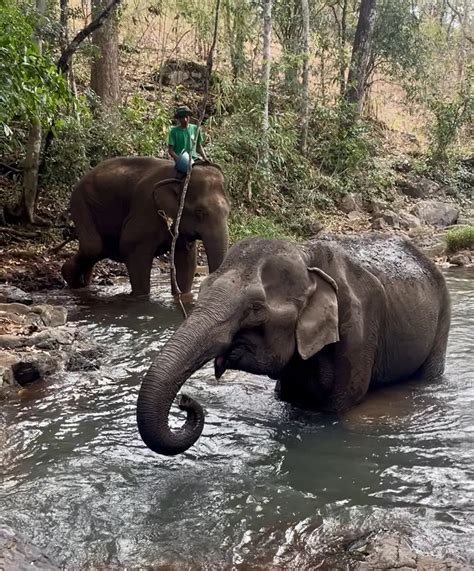 Thrifty Nomads - See more of the world, for less. - balustradellc