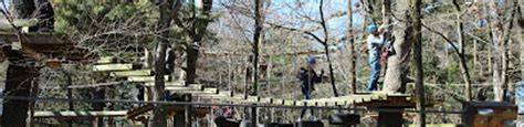 Thrills and Nature Unite at Trinity Forest Adventure Park - raincitystudios.com