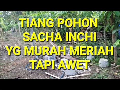 Tiang Sacha Inchi Paling Ideal April 2023 - balustradellc