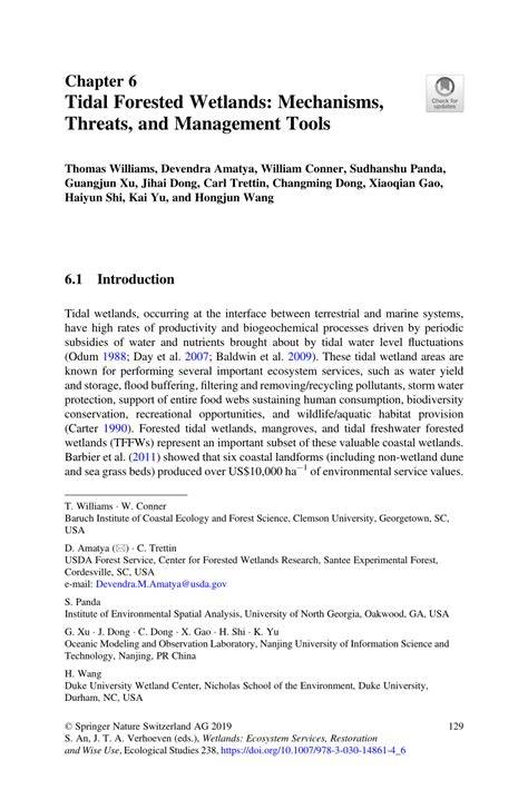 Tidal Forested Wetlands: Mechanisms, Threats, and Management Tools - raincitystudios.com
