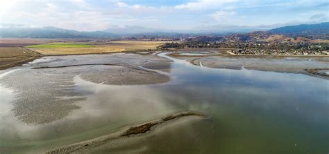 Tidal Wetland Restoration - cerf.science - muktibox.com