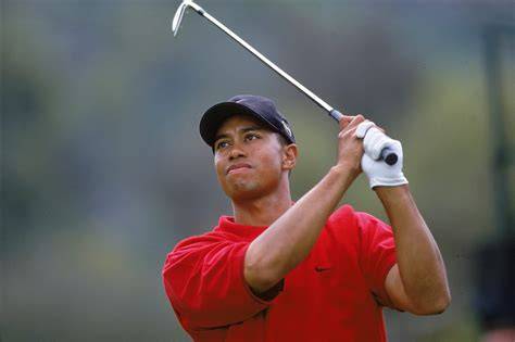 tiger woods adalah - raincitystudios.com