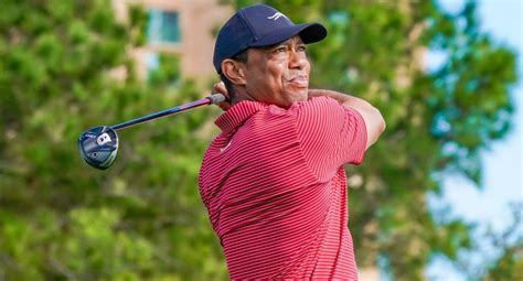 tiger woods artinya - raincitystudios.com