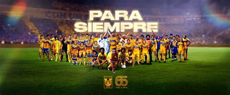 Tigres UANL Premier - balustradellc