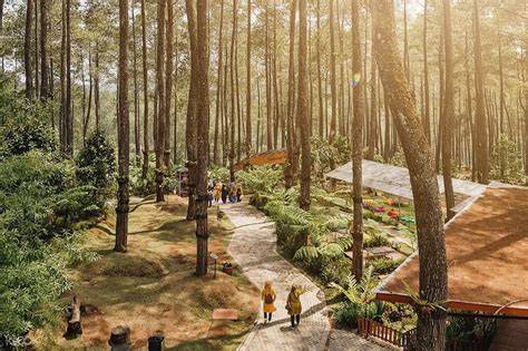 Tiket Orchid Forest Cikole & 10 Fasilitas Spot Foto Kece! - raincitystudios.com