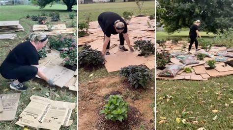 TikTok’s Cardboard Gardening Hack - Good Housekeeping - raincitystudios.com