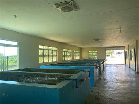Tilapia – Industry Strategic Science and Technology Plans (ISPs) Platform - raincitystudios.com