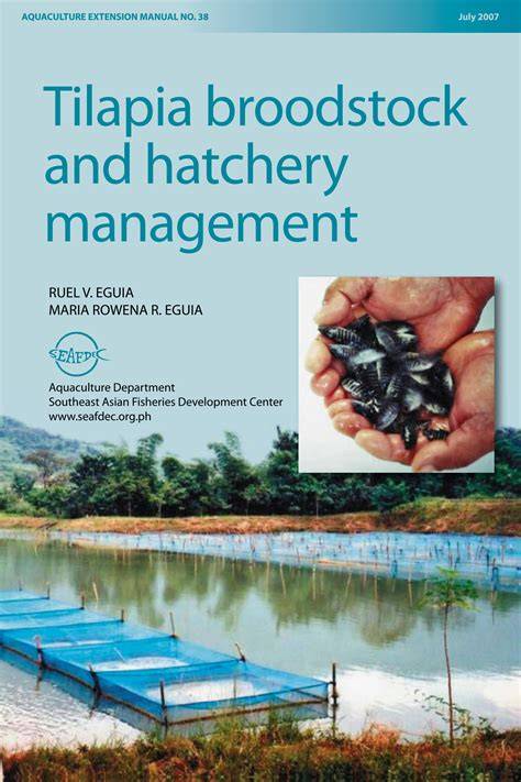 Tilapia broodstock and hatchery management - SEAFDEC - raincitystudios.com