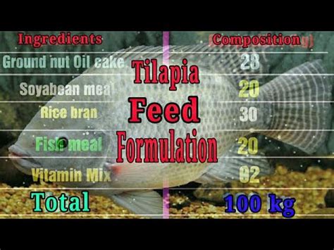 Tilapia Fish Feed Formulation; Tilapia Feed Ingredients - Agri Farming - raincitystudios.com