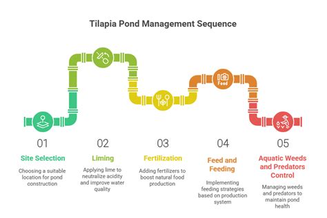 Tilapia Management: A Comprehensive Guide to … - balustradellc