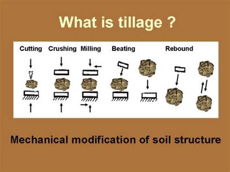 Tillage Tools and Practices in Organic Farming Systems - muktibox.com