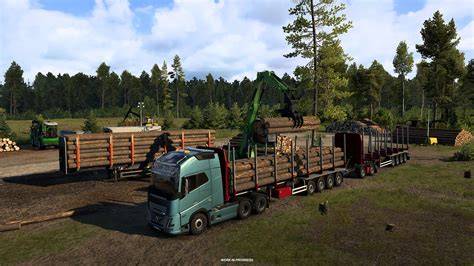 Timber Harvest - Selection Cutting | Turner Logging - raincitystudios.com