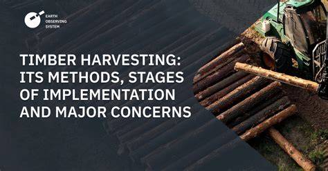 Timber Harvesting: Methods, Stages, And Major Concerns - raincitystudios.com