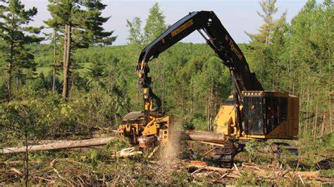 Timber Harvesting - raincitystudios.com