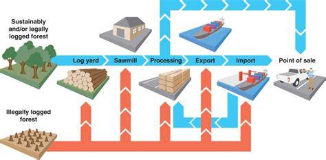 Timber Supply Chain Management - Bundesforste - raincitystudios.com