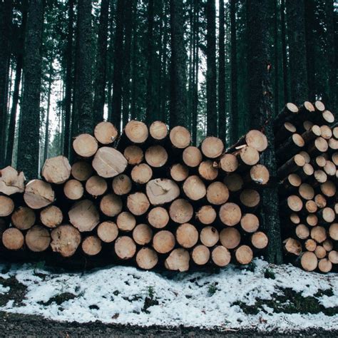 Timber Trade Ordinance in Switzerland - bafu.admin.ch - balustradellc