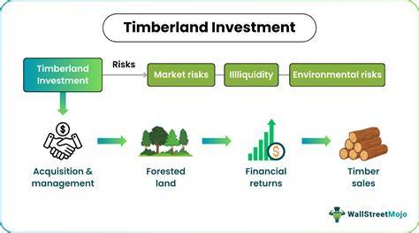 Timberland Investment: Benefits and Risks - SoFi - raincitystudios.com