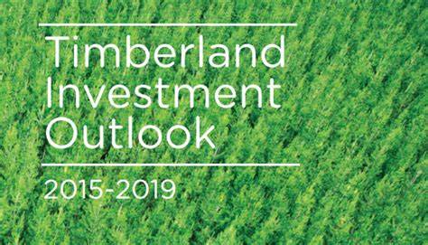 Timberland Investment Outlook - New Forests - raincitystudios.com