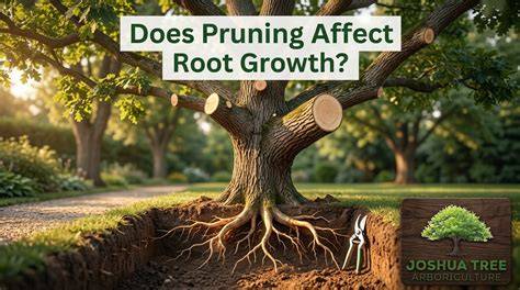 Time and type of pruning affect tree growth and yield in high-density ... - raincitystudios.com