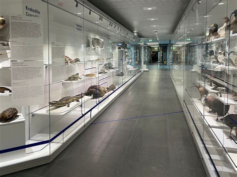 Timeline of Heidelberg University | Timepath Wiki - wintechmobiles.com