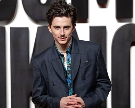 Timothée Chalamet's Best Actor Odds Shockingly Shift Just - balustradellc