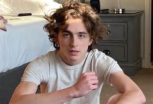 Timothee Chalamet Insulted Ballet, Opera Before New Comment - balustradellc